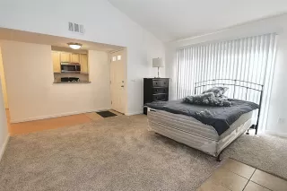 Photo #6: 221006063 Listing