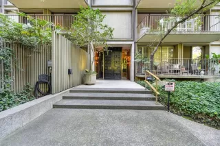 Photo #1: 221007174 Listing