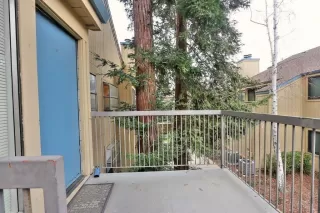 Photo #1: 221007426 Listing