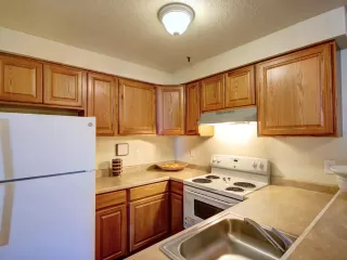 Photo #5: 221007535 Listing