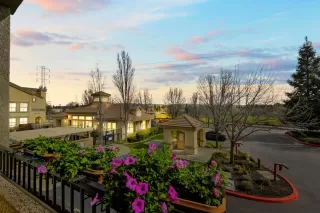 Photo #2: 221007934 Listing 