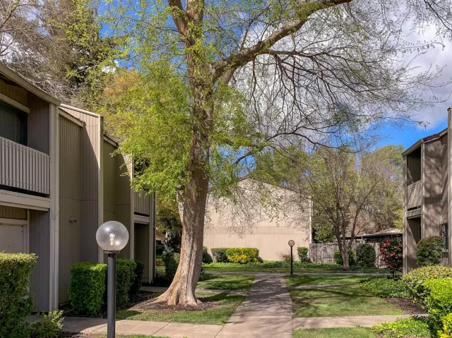 MLS: 221008541 Condo For Sale