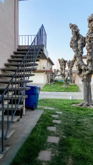 Photo #1: 221009898 Listing 