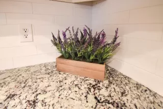 Photo #5: 221011072 Listing 