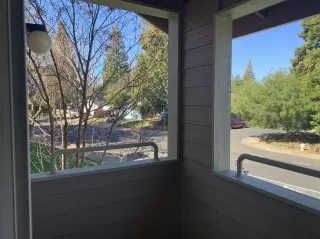 Photo #1: 221012244 Listing