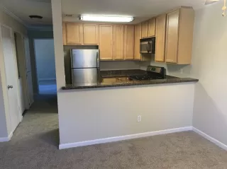 Photo #2: 221012244 Listing