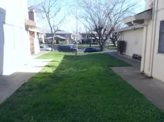 Photo #1: 221012326 Listing 