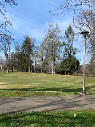 Photo #4: 221012547 Listing