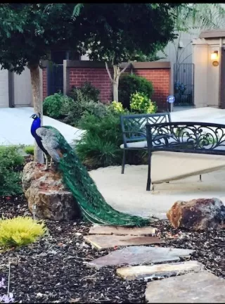 Photo #2: 221013010 Listing 