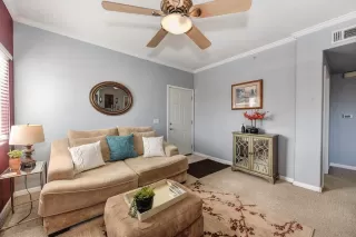 Photo #6: 221013783 Listing 