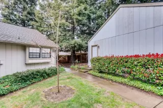 Photo #5: 221014862 Listing