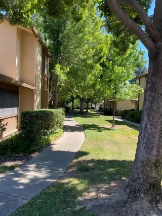 Photo #2: 221014937 Listing