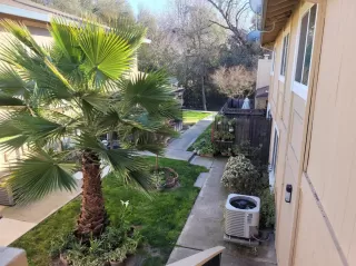 Photo #4: 221015430 Listing 