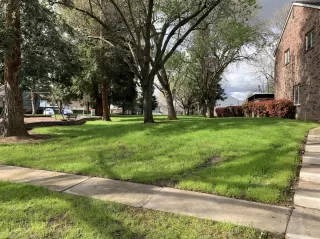 Photo #3: 221017031 Listing