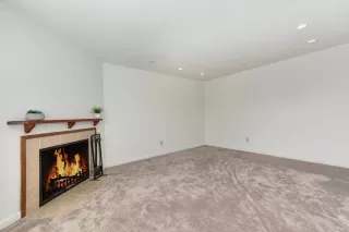 Photo #1: 221017061 Listing 