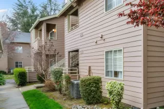 Photo #1: 221017113 Listing