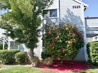 Photo #2: 221017211 Listing 