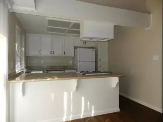 Photo #4: 221017228 Listing