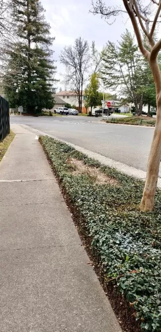 Photo #5: 221019098 Listing 