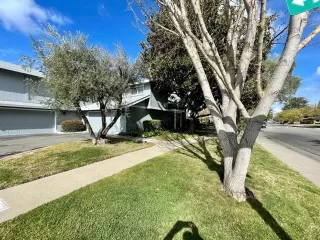 Photo #2: 221019511 Listing