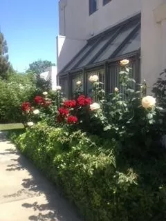 Photo #2: 221023287 Listing