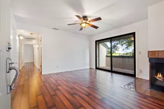 Photo #1: 221023599 Listing