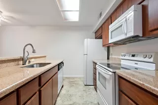 Photo #4: 221023599 Listing