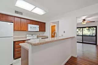 Photo #5: 221023599 Listing