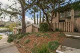 Photo #1: 221025263 Listing