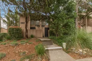 Photo #2: 221025263 Listing