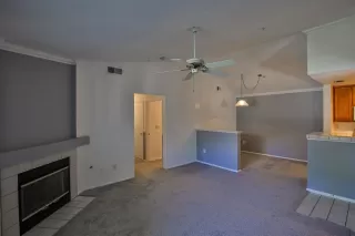 Photo #6: 221026086 Listing 