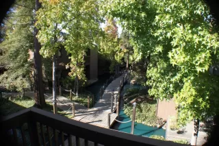 Photo #1: 221026136 Listing