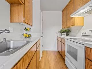 Photo #2: 221026267 Listing