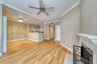 Photo #4: 221026479 Listing 