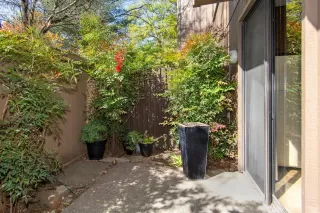 Photo #1: 221026735 Listing 