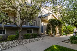 Photo #1: 221027195 Listing