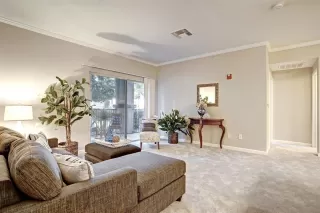 Photo #5: 221027777 Listing 