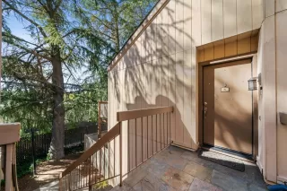 Photo #3: 221027889 Listing