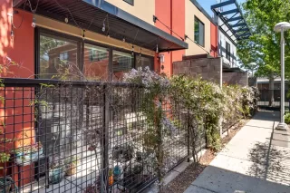 Photo #2: 221029665 Listing 