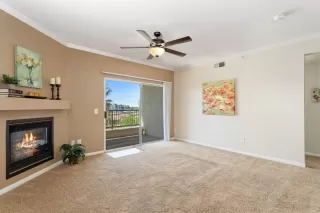 Photo #5: 221030246 Listing