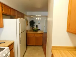 Photo #4: 221030733 Listing