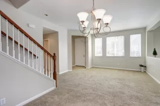 Photo #5: 221031445 Listing