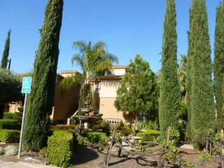 Photo #2: 221031902 Listing