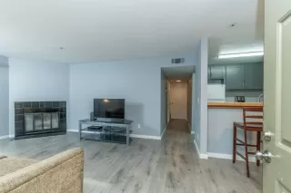 Photo #1: 221032376 Listing