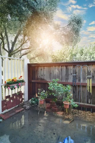 Photo #4: 221032546 Listing