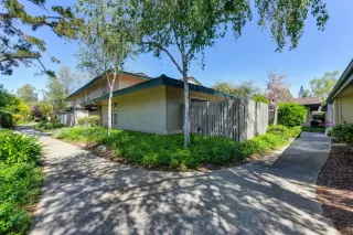 Photo #1: 221033946 Listing 