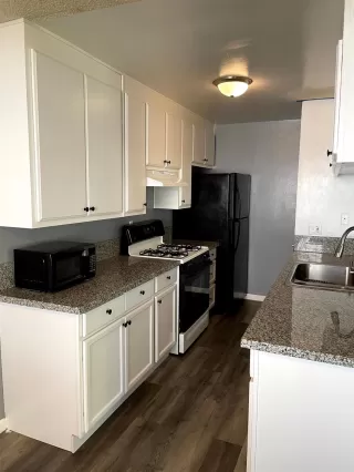 Photo #2: 221034078 Listing 