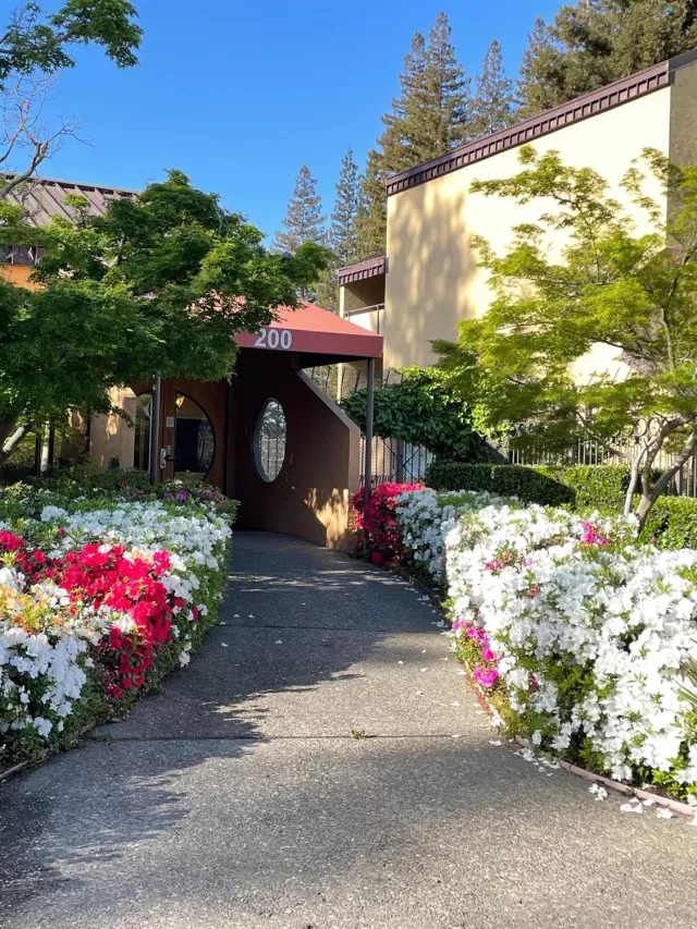 MLS: 221035758 Condo For Sale