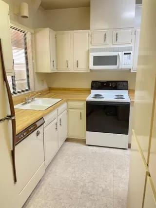 Photo #4: 221035758 Listing