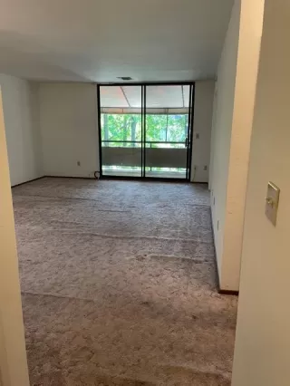 Photo #5: 221035758 Listing